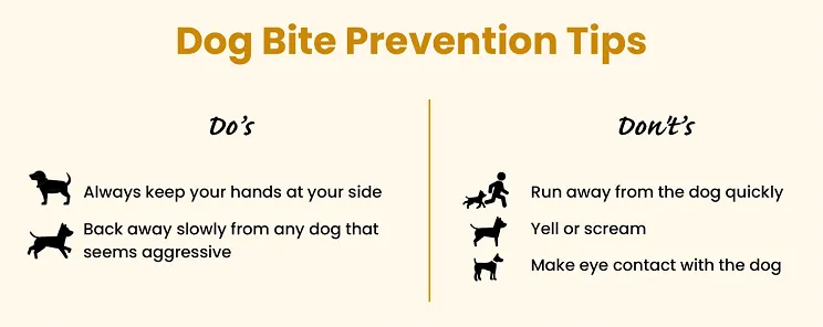 Dog Bite Liability